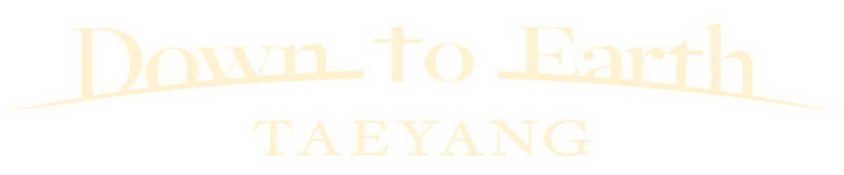 TAEYANG-0002-_Store-Theme_Footer-Logo