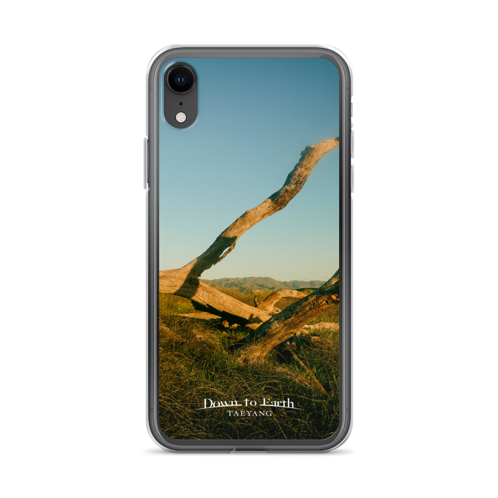 Down To Earth Phone Case XR