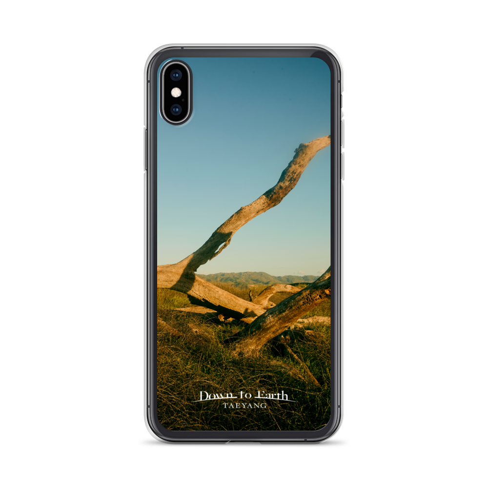 Down To Earth Phone Case XS MAX