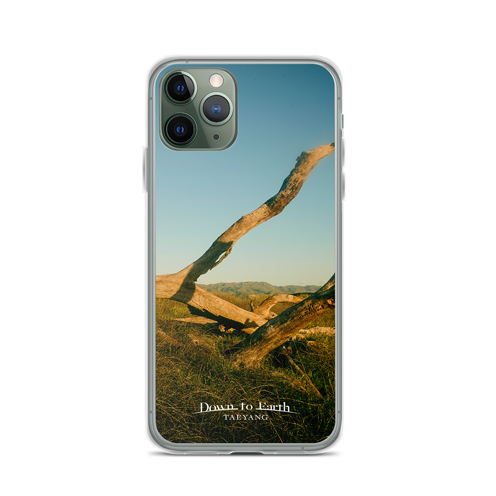 Down To Earth Phone Case 11 pro